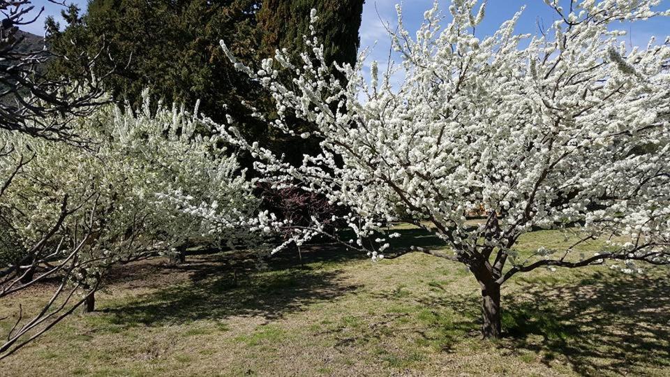 Hotel De Montana Estancia Nina Paula Nono Eksteriør bilde